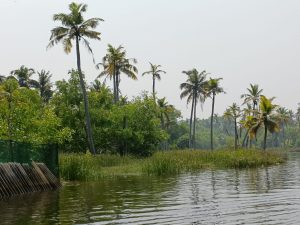 Climate कहानी