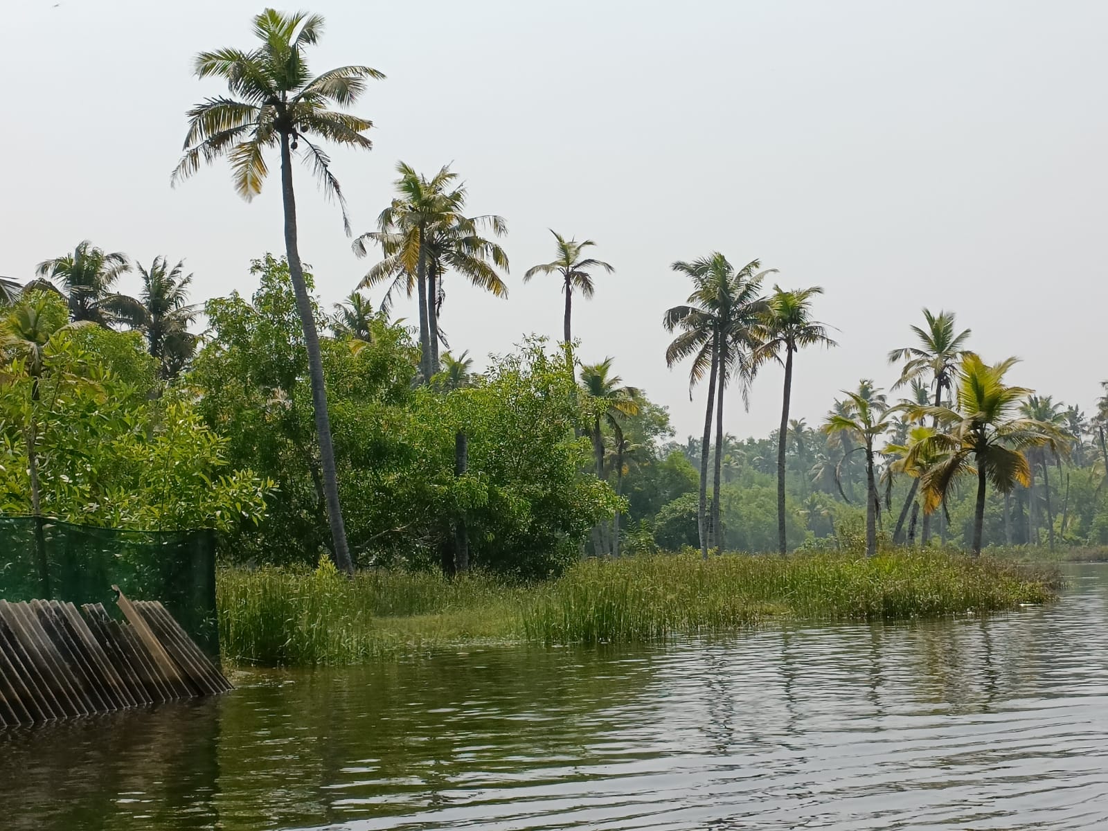 Climate कहानी